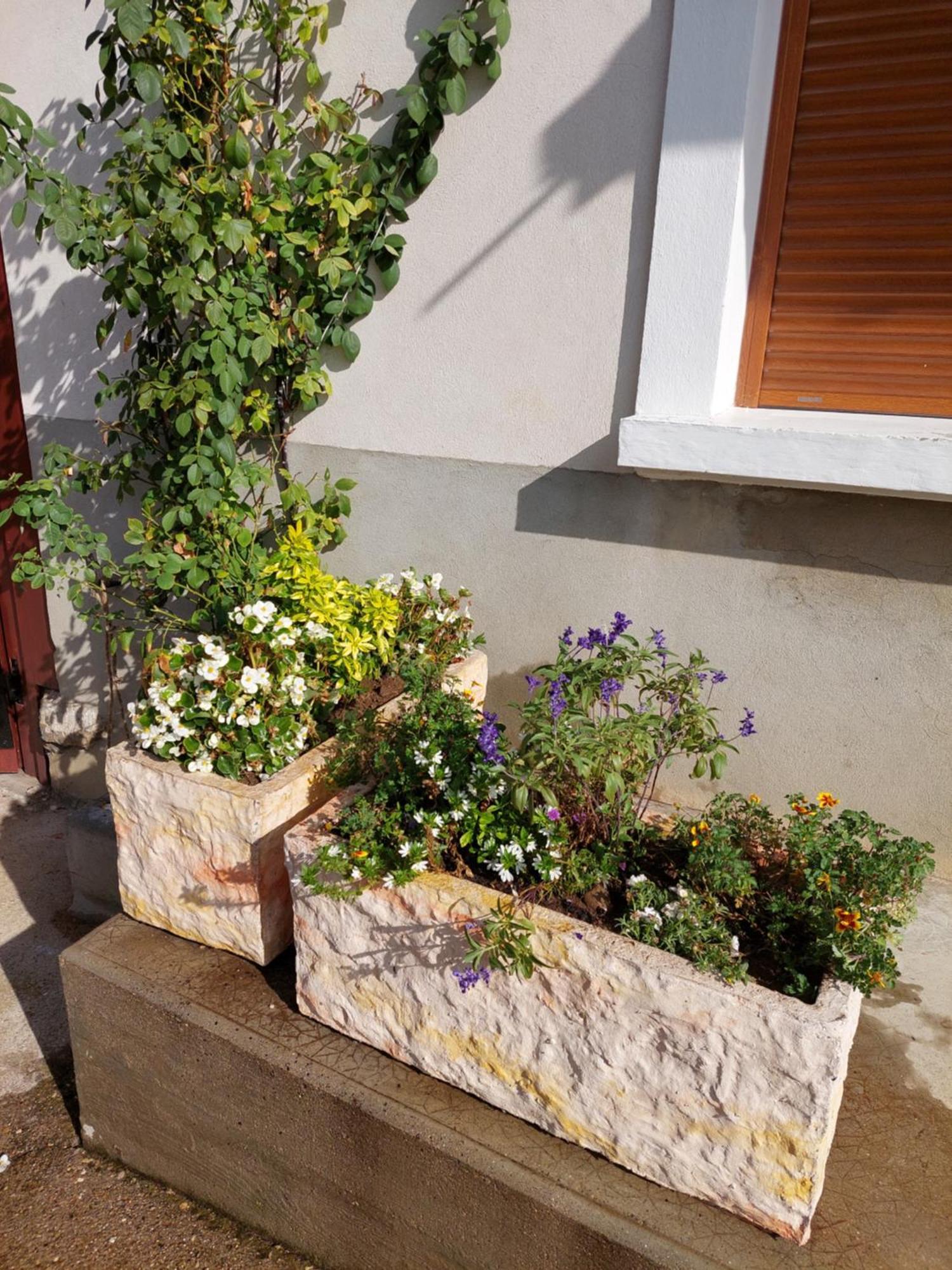 Les Copains D'Abord Villa Beaucroissant Екстериор снимка