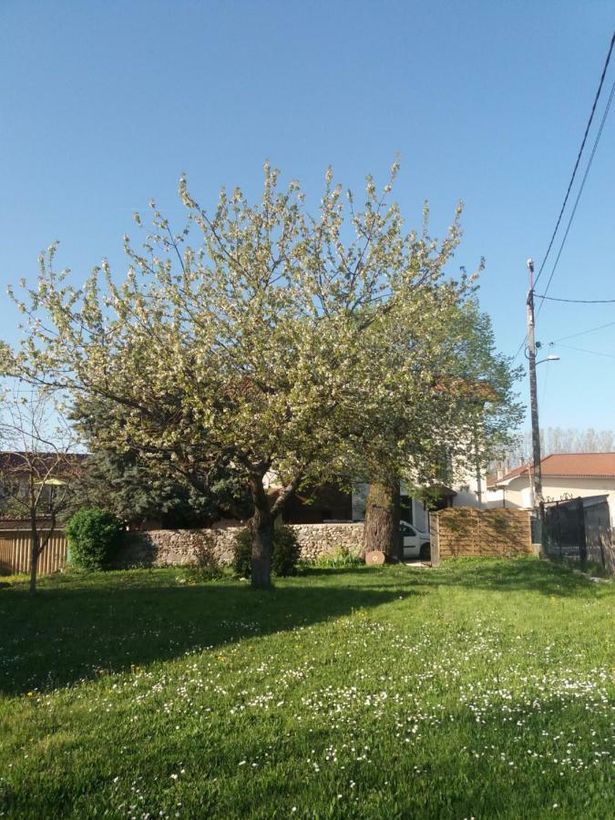 Les Copains D'Abord Villa Beaucroissant Екстериор снимка